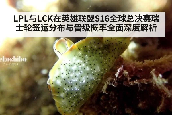 LPL与LCK在英雄联盟S16全球总决赛瑞士轮签运分布与晋级概率全面深度解析